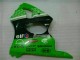 ABS Carenado ZX6R 2000-2002 - Verde Negro