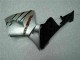 ABS Plástico CBR 600 RR 2005-2006 - Plata