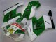 Carenado CBR 1000 RR 2004-2005 - Verde Blanco