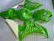 Carenado CBR 1000 RR 2006-2007 - Verde Carenado CBR 1000 RR 2006-2007 - Verde