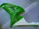 Carenado CBR 1000 RR 2006-2007 - Verde Carenado CBR 1000 RR 2006-2007 - Verde