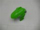 Carenado EX300 2013-2016 - Verde Negro Plata
