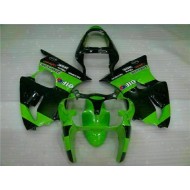 Carenado & Plástico ZX6R 2000-2002 - Verde