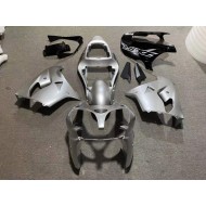 Carenado & Plástico ZX9R 2002-2003 - Plata Brillante Negro