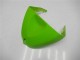 Carenados ZX6R 2005-2006 - Verde Carenados ZX6R 2005-2006 - Verde
