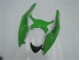 Kit Carenado ABS Completo ZX6R 2009-2012 - Verde Negro