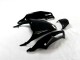 Kit Completo Carenado ZX14R ZZR 1400 2012-2021 - Negro Verde