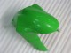 Kits Completo Carenado ZX6R 2005-2006 - Verde