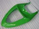 Kits Completo Carenado ZX6R 2005-2006 - Verde